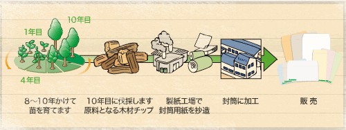 植林木の説明